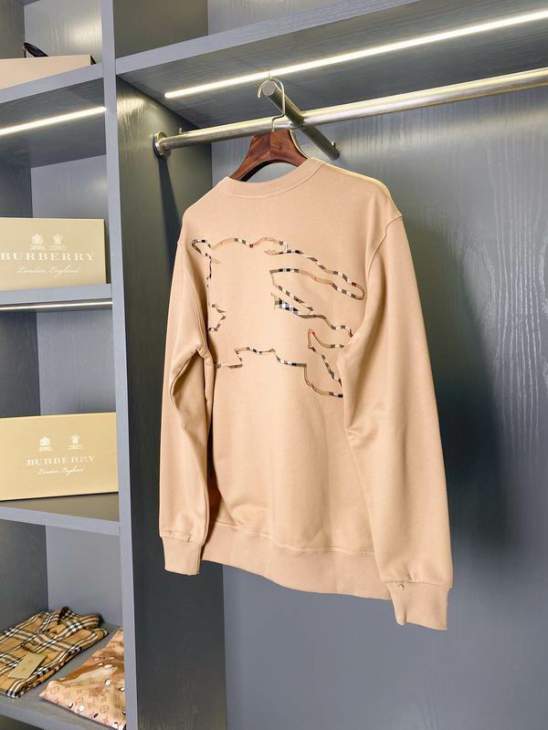 Picture of Burberry Sweatshirt _SKUBurberryS-2XLaztx863230945